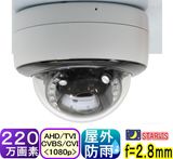 SA-51730220 ɱɡݥ෿ȥ AHD+TVI+CVI(1080p)ʥ(CVBS)ؽ f=2.8mm
