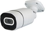��SA-51768 PRO�� ���ߡ����ȥ���� �����ɱ���Ķ�ꥢ����ͥ��ߡ������ ��ʪ�Υ���ߥܥǥ�����