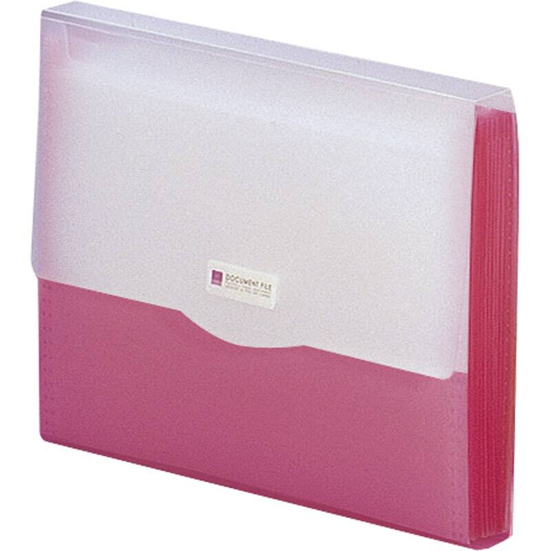 リヒトラブ リクエスト ドキュメントファイル レッド G5610-3