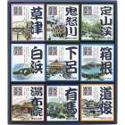 名湯百景ギフトセット 30包入 GM-30R|仏事・返礼|ギフト用品