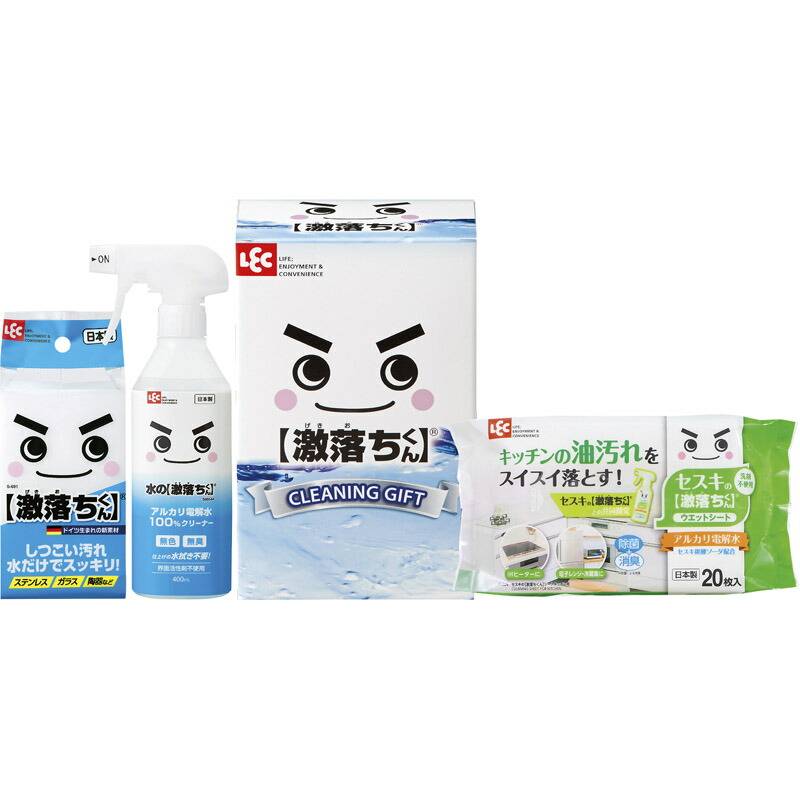 レック 激落ちくんセット LGS-100N