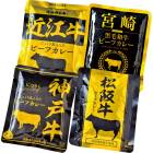 ご当地カレーセット 4人前 5046-20|食品|食品・飲料