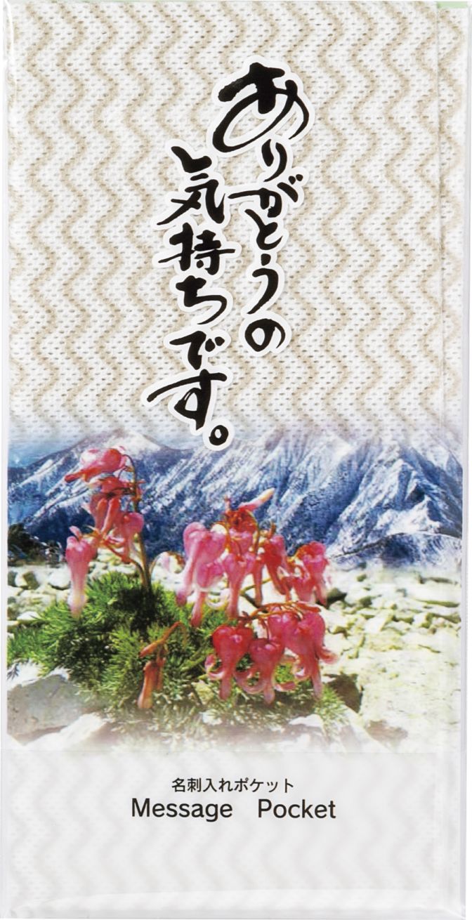ありがとうの気持ちです レーヨンふきん×1枚 DF-300｜吸水速乾・衛生的・名刺ポケット付【プチギフト】【挨拶品やイベントの販促にも最適】