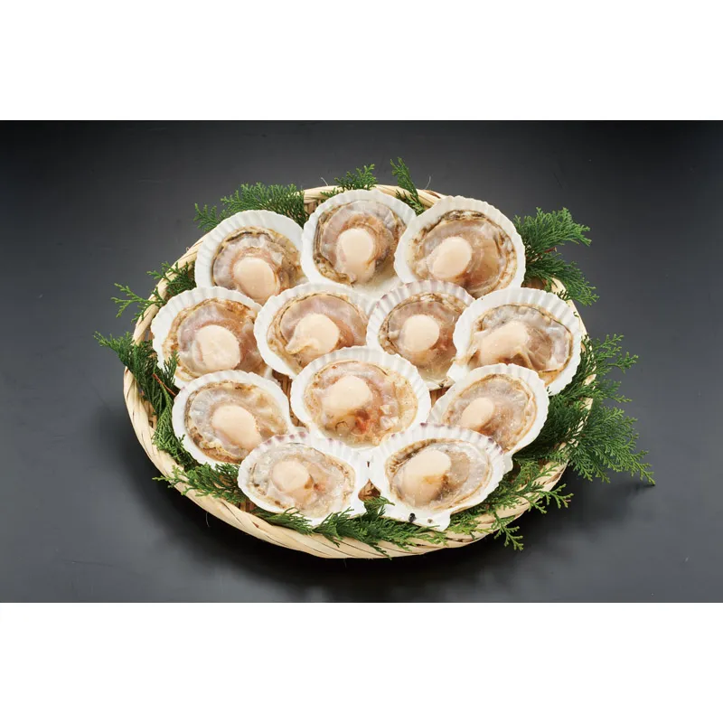 北海道産ほたて貝12枚 L12