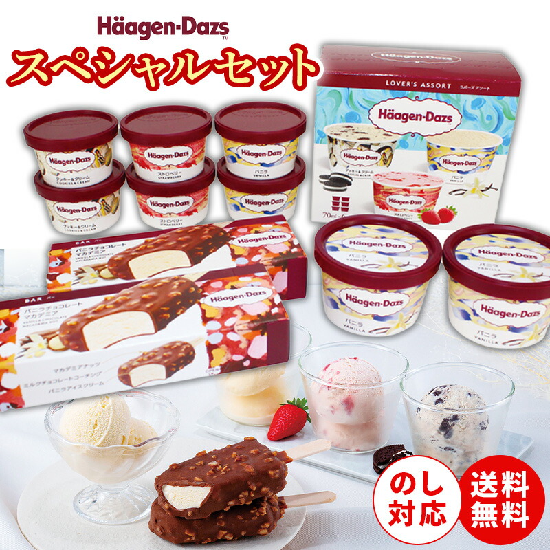 ハーゲンダッツ スペシャルセット HD-SP[ty]