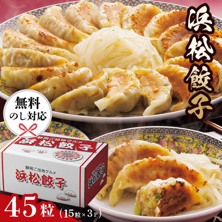 浜松餃子 15粒×3パック 詰め合わせ HG-3[ty]