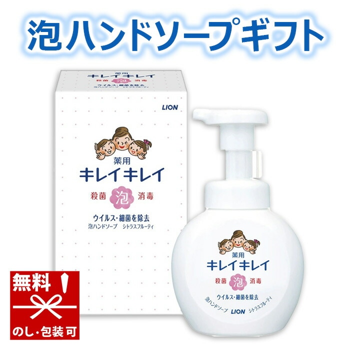 【在庫あり】 引越し 挨拶 ギフト 粗品 ライオン キレイキレイ 薬用泡ハンドソープ250mL箱入 BPPHA[zk]【 引っ越し挨拶ギフト 販促品 景品 業務用 キレイキレイ 泡ハンドソープ ギフト 】