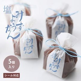 京都 鶴屋光信 和菓子 ギフト お歳暮 塩水ようかん5個入