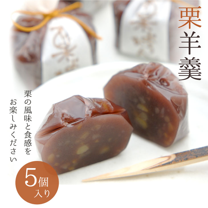 京都 鶴屋光信 ギフト  和菓子 お歳暮 栗羊羹 5個入