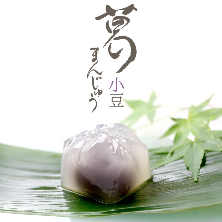 京都 鶴屋光信 御中元 夏 ギフト 涼菓 和菓子 ギフト 葛まんじゅう（小豆） 5個入