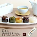母の日 誕生日 入学 就職 手土産 ギフト 京都 鶴屋光信 敬老の日 和菓子  手土産 季節の詰合せ 誉 5個入