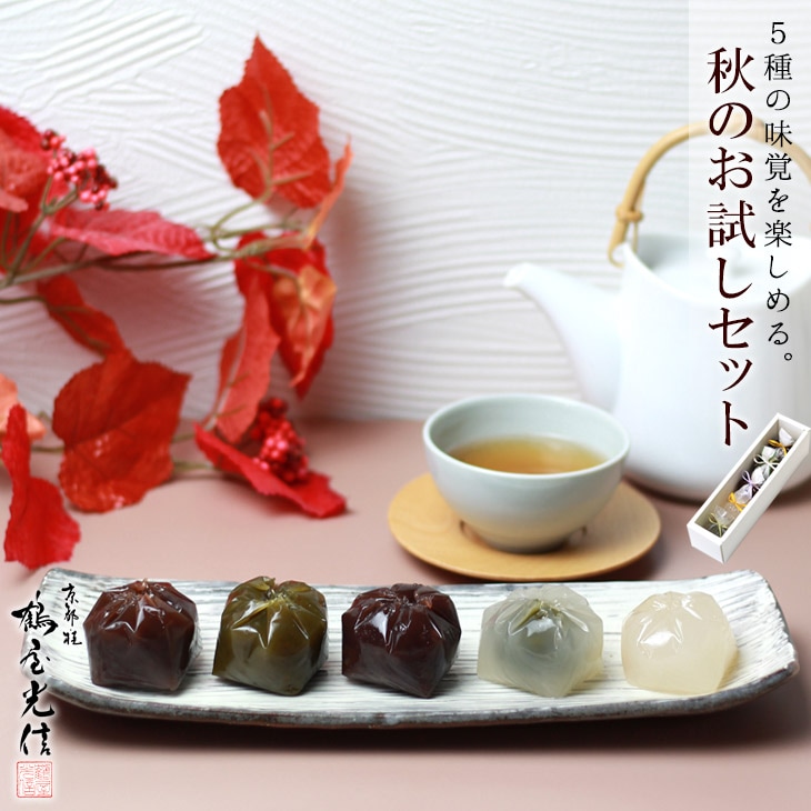 母の日 誕生日 入学 就職 手土産 ギフト    京都 鶴屋光信 化粧箱入り 和菓子  羊羹 ようかん 雅 秋 お試し 栗ようかん 抹茶羊羹 大和 つぶ羊羹 葛まんじゅう 抹茶 柚子
