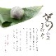 バレンタイン 京都 鶴屋光信 ギフト 涼菓 和菓子 お歳暮 葛まんじゅう（小豆） 5個入