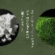 京都 鶴屋光信 母の日 父の日 和菓子 ギフト 葛まんじゅう（抹茶） 5個入