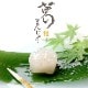 バレンタイン 京都 鶴屋光信 ギフト 涼菓 和菓子 お歳暮 葛まんじゅう（柚子） 5個入