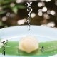 京都 鶴屋光信 ギフト 涼菓 和菓子 お歳暮 竹かご 葛まんじゅう（小豆）（抹茶）（柚子）各4種 12個入
