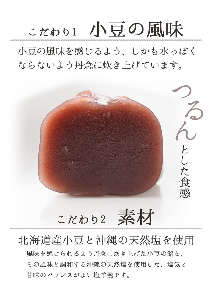 京都 鶴屋光信 御中元 夏ギフト  和菓子 ギフト 化粧箱中サイズ 塩水羊羹5個 もちり6個 詰合せ