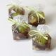 京都 鶴屋光信 和菓子 ギフト 竹篭入り 涼菓 せせらぎ12個 