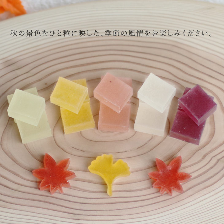 11/30まで！秋限定「紅葉」 鶴屋光信 お取り寄せ  フルーツ琥珀 果乃菓30個入 琥珀糖 和菓子 ギフト