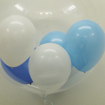 T �饤�ȥ֥롼��5�������