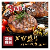 バーベキュー メガ盛りセット 牛カルビ 厚切りハラミ ホルモン 豚肉 鶏肉 合計3kg 送料無料 約10人前