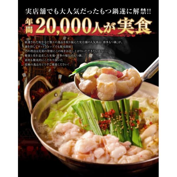 メガ盛り博多もつ鍋セット お取り寄せ グルメ 送料無料 （新鮮国産もつ600g）特製みそ味スープ 3,980円 鍋 パーティー ギフト