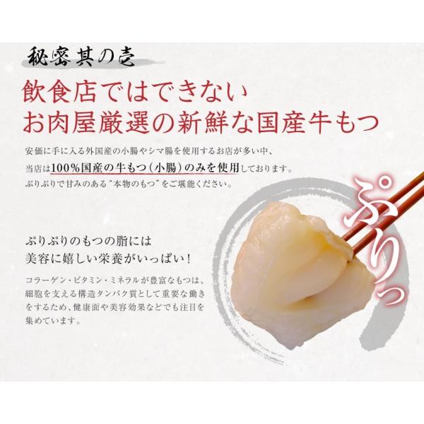 メガ盛り博多もつ鍋セット お取り寄せ グルメ 送料無料 （新鮮国産もつ600g）特製みそ味スープ 3,980円 鍋 パーティー ギフト