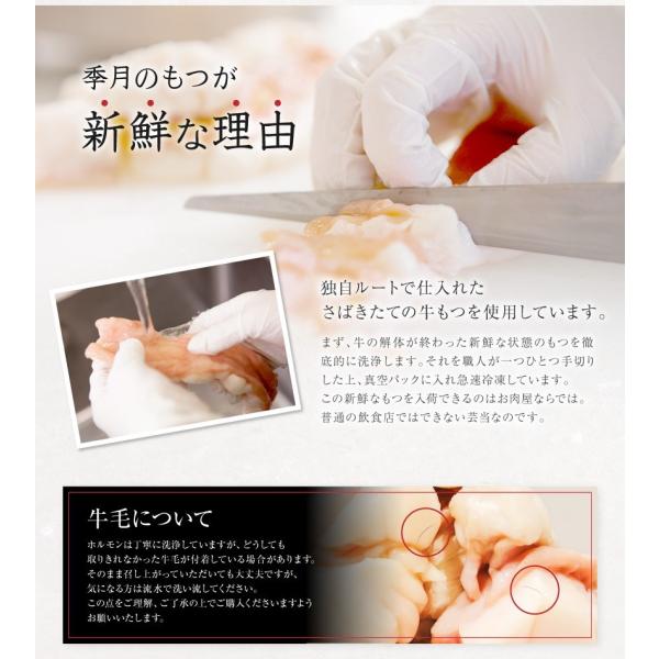 メガ盛り博多もつ鍋セット お取り寄せ グルメ 送料無料 （新鮮国産もつ600g）特製みそ味スープ 3,980円 鍋 パーティー ギフト