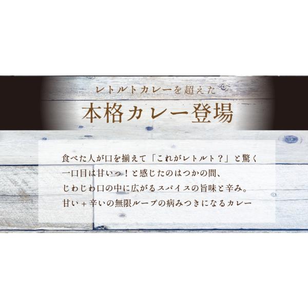 レトルトカレー 本格あまからカレー 1袋 ビーフ辛口 17種類のスパイス配合 ネコポス レトルト食品