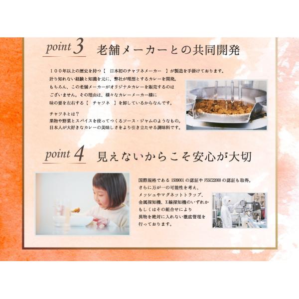 レトルトカレー 本格あまからカレー 1袋 ビーフ辛口 17種類のスパイス配合 ネコポス レトルト食品