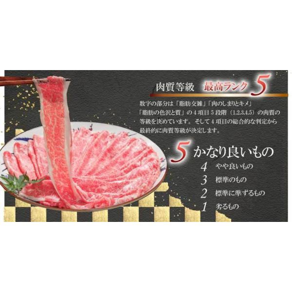 和牛 黒毛和牛 A5等級 霜降りサーロインステーキ 贈答にも(150g～170g) ギフト