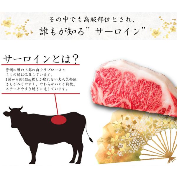 和牛 黒毛和牛 A5等級 霜降りサーロインステーキ 贈答にも(150g～170g) ギフト