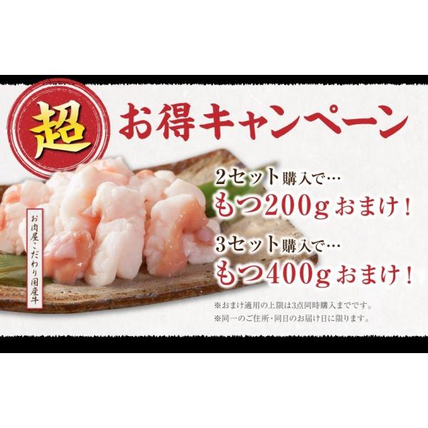 博多もつ鍋セット お取り寄せ グルメ 送料無料 新鮮国産もつ ２～３人前 秘伝だし醤油味スープ 鍋 パーティー ギフト