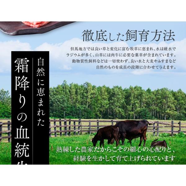 神戸牛 牛肉 肉 和牛 Ａ５等級 極撰クラシタローススライス 500g 250g×2パックでお届け お取り寄せ グルメ ギフト