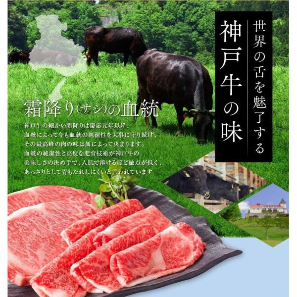 日本3大和牛 食べ比べ 松阪牛 神戸牛 近江牛 牛肉 肉 和牛 Ａ５等級 極上クラシタロース 750g 250ｇ×3パックでお届けギフト