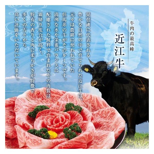 日本3大和牛 食べ比べ 松阪牛 神戸牛 近江牛 牛肉 肉 和牛 Ａ５等級 極上クラシタロース 750g 250ｇ×3パックでお届けギフト