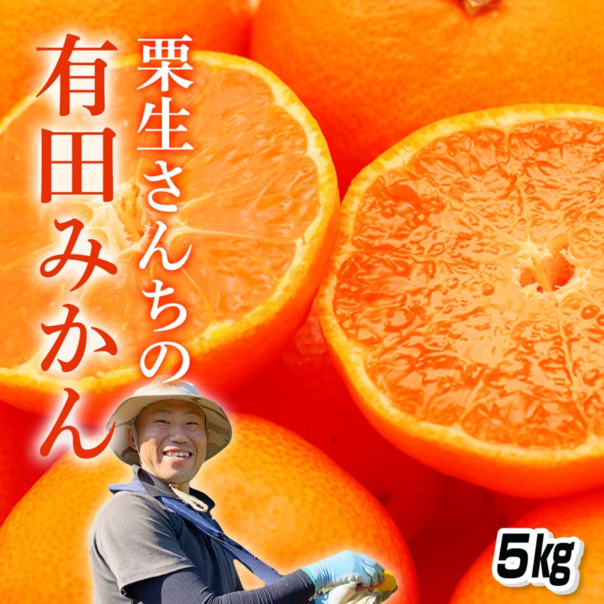 有田みかん５㎏（約５０個）送料無料　11月下旬から配送 