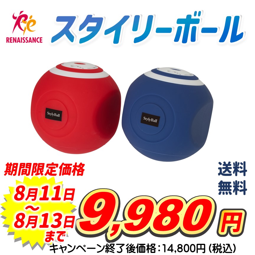 スタイリーボール ボディケア 筋トレ ストレッチサポートカバー付 (ブルー) スタイリーボール ボディケア 筋トレ ストレッチサポートカバー
