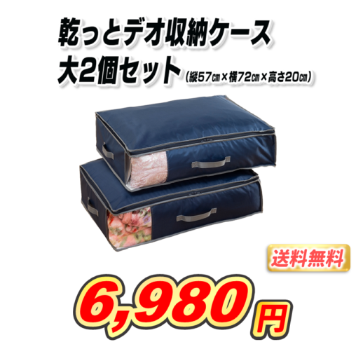 【2024年製】乾っとデオケース 乾っとパックプレミアム 大サイズ2個セット TEIJIN 乾っとデオケースプレミアム 大サイズ 2個セット テイジン