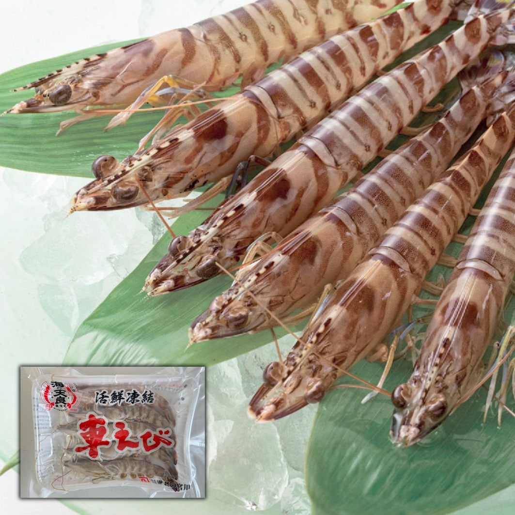 活〆凍結車海老 20g×５尾（5尾×３パック～）【生食可】