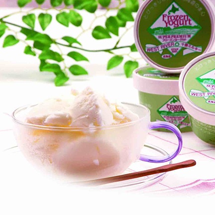 (10個セット)濃厚!北海道産ジャージー牛乳のフローズンヨーグルト