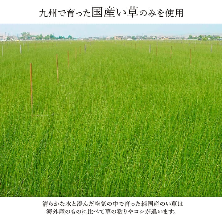 国産い草ラグ ランクス