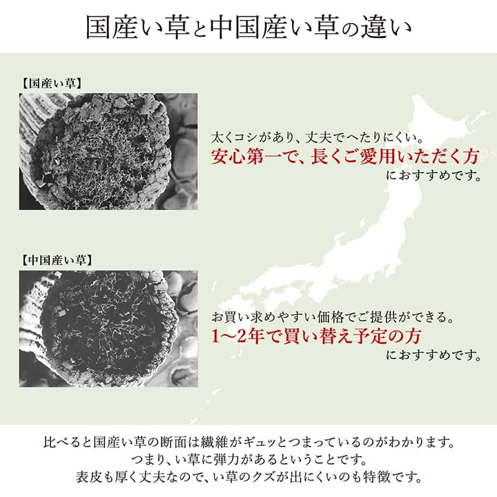 国産い草ラグ ランクス
