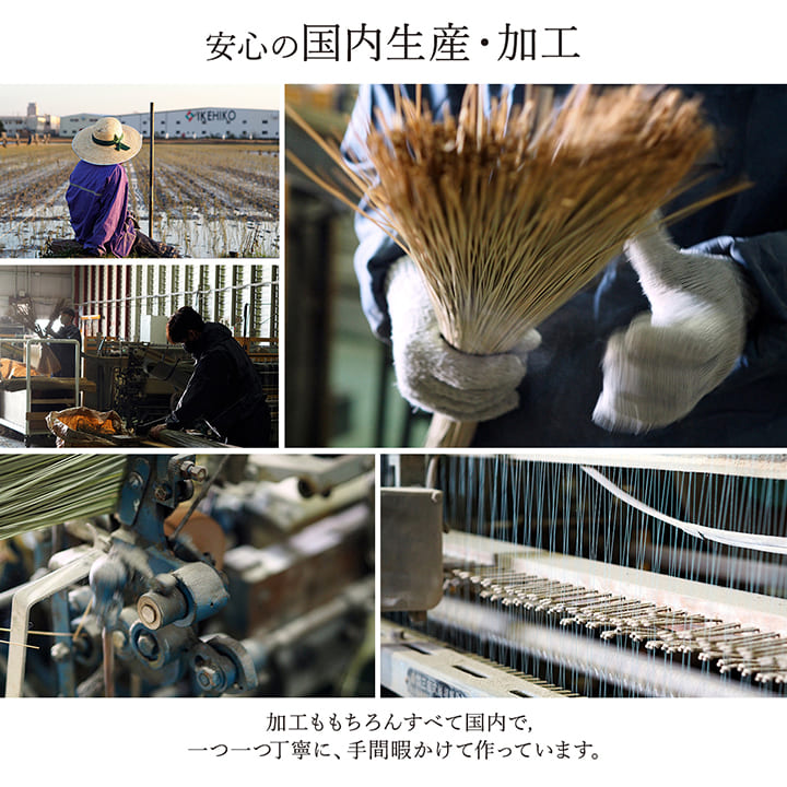 国産い草ラグ ランクス