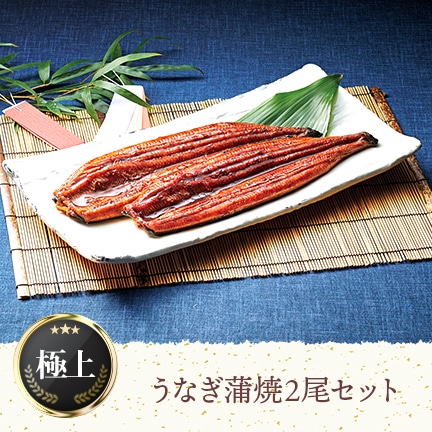うなぎ蒲焼2尾セット(220g)【宮崎・鹿児島産】お届け先が中国・九州エリアは送料無料(他エリアは別途送料がかかります)