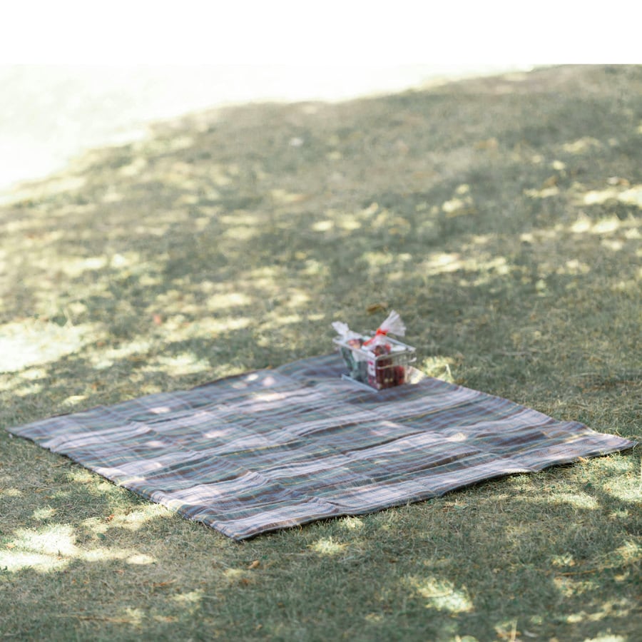 Eventer Rug Mat 170x137cm アンティーク ドレスゴードン Antique Dress Gordon イベンター