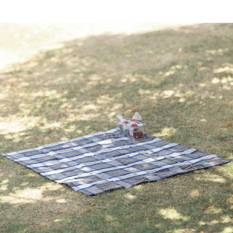 쥸㡼 ٥󥿡 ɿ΢ Eventer Rug Mat 170x137cm ߥ塼ȥ֥롼 ɥ쥹 | Muted Blue Dress Stewart
