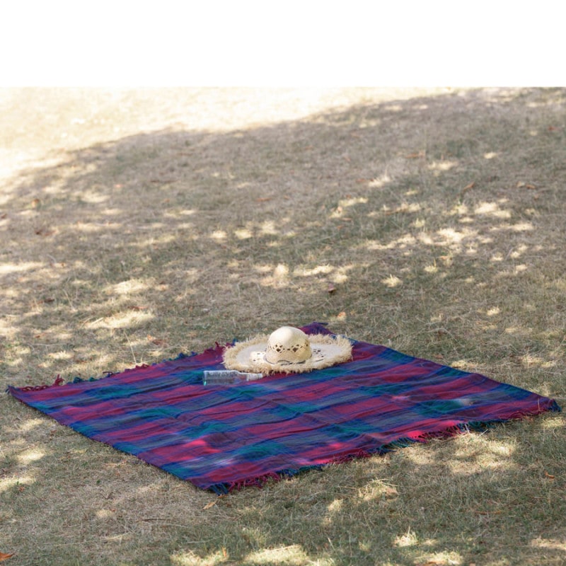 ϥɥ ݥ饰 ɿ΢ 쥸㡼 183x145cm 󥼥 / Polo Wool Picnic Rug Lindsay