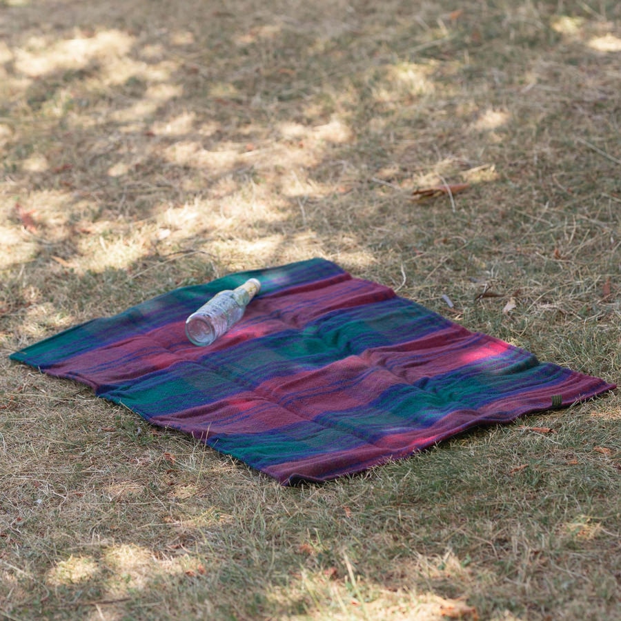 Walker Picnic Rug 98x66cm リンゼイ Lindsay ウォーカーコンパニオン レジャーシート 防水裏地