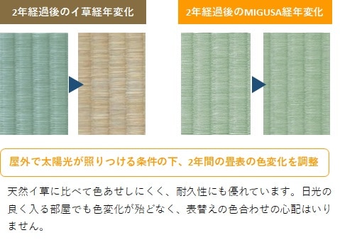 �ӣţˣɣӣգɡ��ե����������奯�쥳�쥯�����